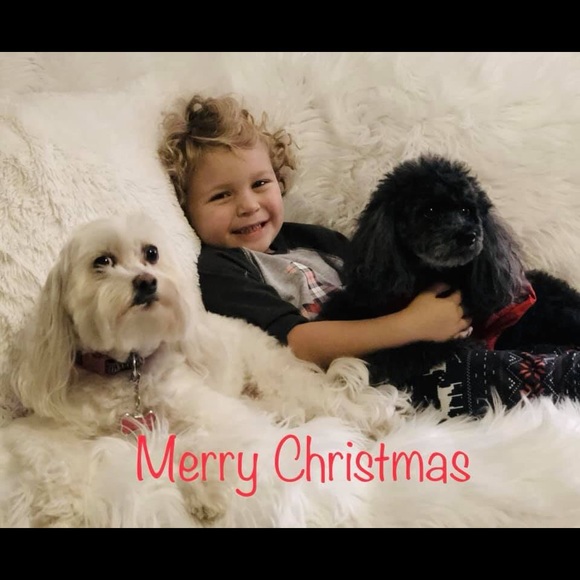 Meet the Posher - Picture 3 of 3